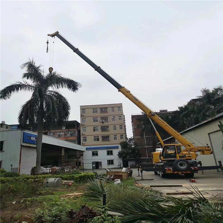 兴业吊车吊大树几种方法